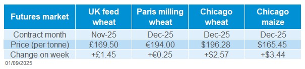 Grain futures 01 09 2025